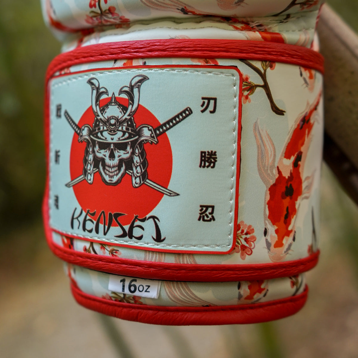 Kensei Boxing Gloves